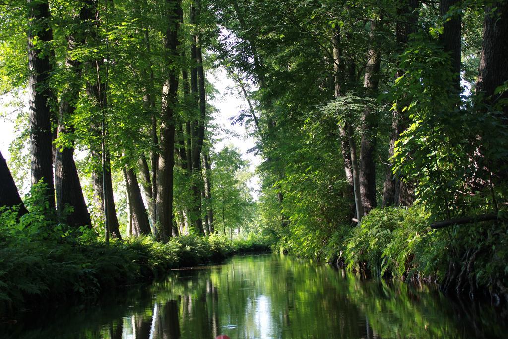 Отель Gutshof Sagritz Golssen Экстерьер фото